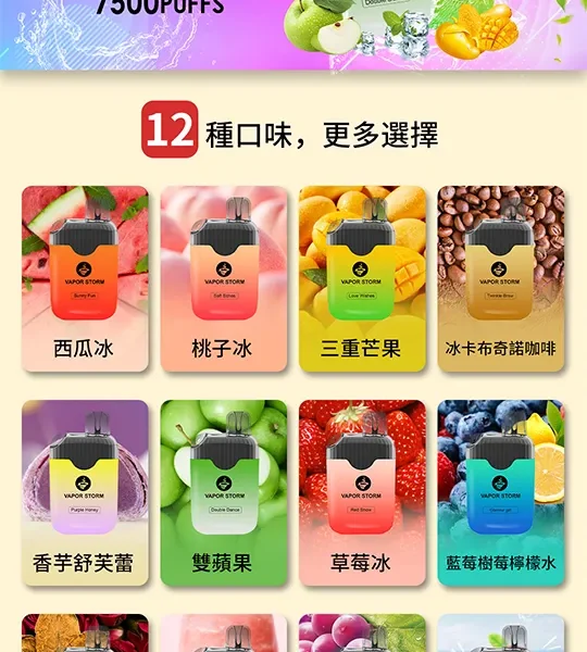⚡台灣現貨⚡VAPOR STORM 風暴 7500口 超大容量一次性/拋棄式電子煙