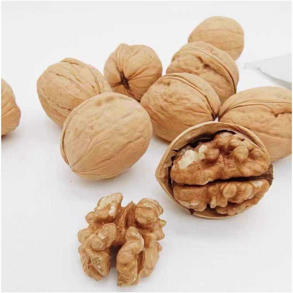 西域果園 紙皮核桃185新疆烤核桃 500g/包 最新日期 阿克蘇核桃 堅果 珍享福新疆烤核桃 綜合堅果 零食團購 批發